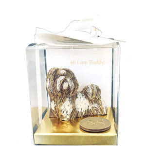 Chocolate Puppy Shihtzu