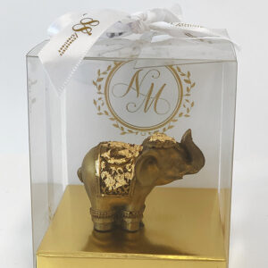 Lucky Elephant