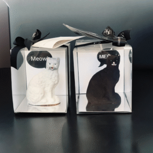 Cat Chocolate